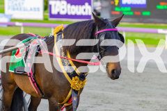 2026_Pacepix_GP17042026_PonyTrot1_WEB-45