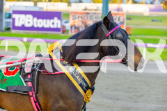 2026_Pacepix_GP17042026_PonyTrot1_WEB-47
