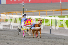 2026_Pacepix_GP17042026_PonyTrot1_WEB-7
