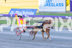 Pony Trot 1