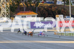 2025_PACEPIX_GP07112025_PonyTrot1_WIN_WEB-1