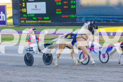 2025_PACEPIX_GP07112025_PonyTrot1_WIN_WEB-10