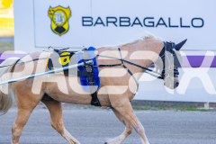 2025_PACEPIX_GP07112025_PonyTrot1_WIN_WEB-12