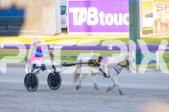 2025_PACEPIX_GP07112025_PonyTrot1_WIN_WEB-16