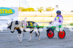 2025_PACEPIX_GP07112025_PonyTrot1_WIN_WEB-18