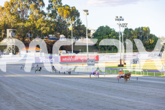 2025_PACEPIX_GP07112025_PonyTrot1_WIN_WEB-2