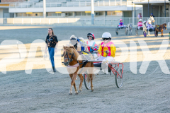 2025_PACEPIX_GP07112025_PonyTrot1_WIN_WEB-21