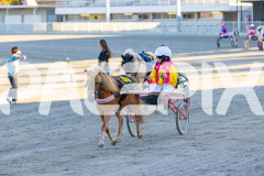 2025_PACEPIX_GP07112025_PonyTrot1_WIN_WEB-22
