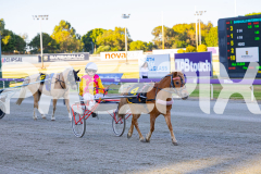 2025_PACEPIX_GP07112025_PonyTrot1_WIN_WEB-23