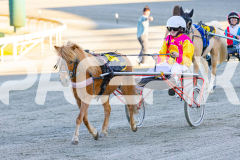 2025_PACEPIX_GP07112025_PonyTrot1_WIN_WEB-24