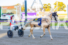 2025_PACEPIX_GP07112025_PonyTrot1_WIN_WEB-32