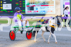 2025_PACEPIX_GP07112025_PonyTrot1_WIN_WEB-34