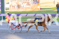 2025_PACEPIX_GP07112025_PonyTrot1_WIN_WEB-6