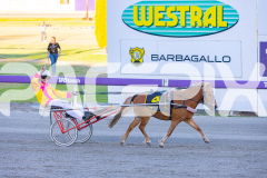 2025_PACEPIX_GP07112025_PonyTrot1_WIN_WEB-7