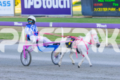 2025_PACEPIX_GP07112025_PonyTrot1_WIN_WEB-9