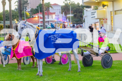 PONY TROT 2