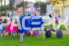 2026_Pacepix_GP17042026_PonyTrot2_WEB-22
