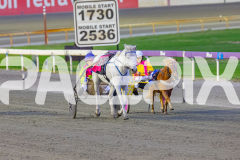 2026_Pacepix_GP17042026_PonyTrot2_WEB-6