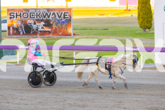 2025_PACEPIX_GP07112025_PT2_WIN_WEB-6