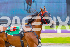 2026_PACEPIX_GP09012026_Race1_AltaAllure_WIN_WEB-2