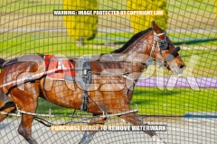 2026_PACEPIX_GP13102026_RACE1_AltairStar_WIN_WEB-7