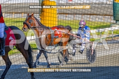 2026_PACEPIX_GP13102026_RACE1_AltairStar_WIN_WEB-8