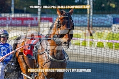 2026_PACEPIX_GP13102026_RACE1_AltairStar_WIN_WEB-9