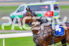 2025_GP29042025_Race1_Altar_WIN_WEB-13