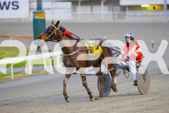 2025_PACEPIX_GP05082025_RACE1_AmericanMonarch_WIN_WEB-11