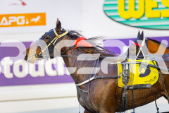 2025_PACEPIX_GP05082025_RACE1_AmericanMonarch_WIN_WEB-12
