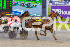 2025_PACEPIX_GP05082025_RACE1_AmericanMonarch_WIN_WEB-6