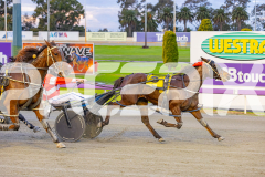 2025_PACEPIX_GP05082025_RACE1_AmericanMonarch_WIN_WEB-7