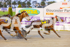 2025_PACEPIX_GP05082025_RACE1_AmericanMonarch_WIN_WEB-8