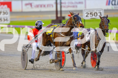 2025_PACEPIX_GP05082025_RACE1_AmericanMonarch_WIN_WEB-9
