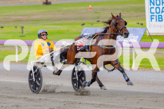2025_PACEPIX_GP25042025_Race1_Arionrock_WIN_WEB-12