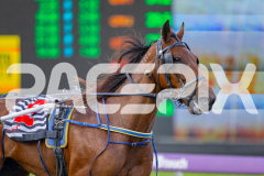 2025_PACEPIX_GP25042025_Race1_Arionrock_WIN_WEB-20