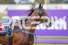 2025_PACEPIX_GP25042025_Race1_Arionrock_WIN_WEB-21