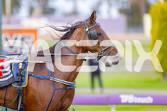 2025_PACEPIX_GP25042025_Race1_Arionrock_WIN_WEB-22