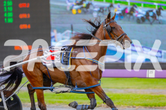 2025_PACEPIX_GP25042025_Race1_Arionrock_WIN_WEB-7