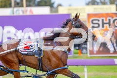 2025_PACEPIX_GP25042025_Race1_Arionrock_WIN_WEB-8