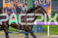 2026_PACEPIX_GP12062026_RACE1_Arista_WIN_WEB-21