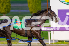 2026_PACEPIX_GP12062026_RACE1_Arista_WIN_WEB-22