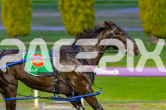2026_PACEPIX_GP12062026_RACE1_Arista_WIN_WEB-3