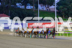 2026_PACEPIX_GP12062026_RACE1_Arista_WIN_WEB-8
