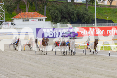 2025_PACEPIX_GP07102025_RACE1_BackOnLine_WIN_WEB-1