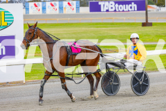 2025_PACEPIX_GP07102025_RACE1_BackOnLine_WIN_WEB-11