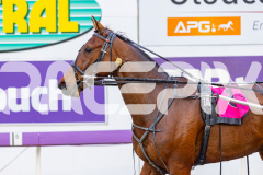 2025_PACEPIX_GP07102025_RACE1_BackOnLine_WIN_WEB-12