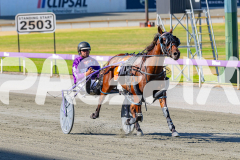 2026_PACEPIX_GP24022026_RACE1_BandOfRock_WIN_WEB-6