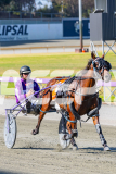 2026_PACEPIX_GP24022026_RACE1_BandOfRock_WIN_WEB-7