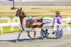 2026_PACEPIX_GP24022026_RACE1_BandOfRock_WIN_WEB-9